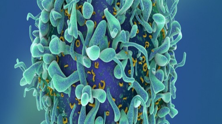 Tendencias tecnológicas de innovación en cáncer: una visión desde la vigilancia tecnológica 