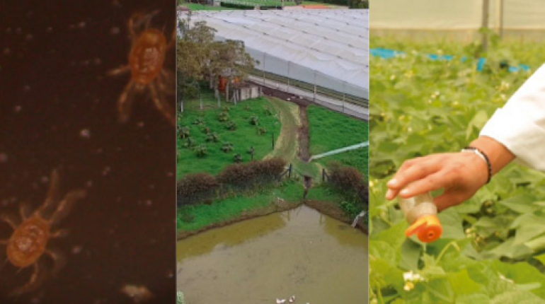 Cundinamarca con un sistema de agricultura limpia